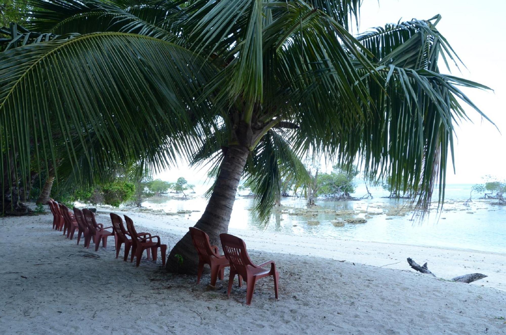 Coconhuts Beach Resort Lakshmanpur Dış mekan fotoğraf